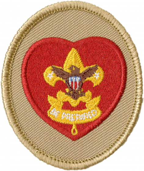 Life Scout